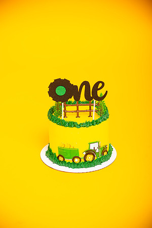 Anthony Cake Smash_0022