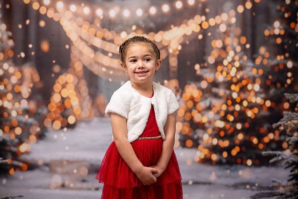Holiday Portraits_0039
