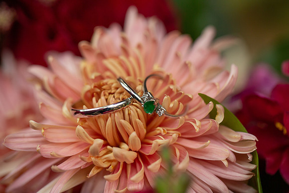 Salcedo Wedding_0179