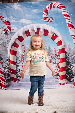 Family Holiday Portraits_0019