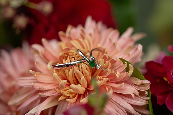 Salcedo Wedding_0178
