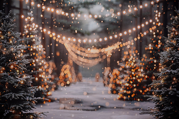 Holiday Portraits_0012