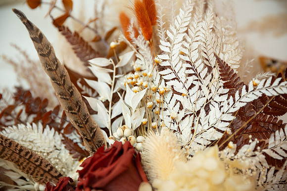 Murphy Wedding_0095