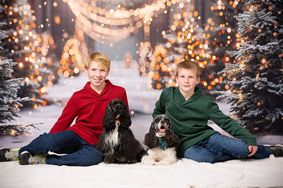 Holiday Portraits_0018