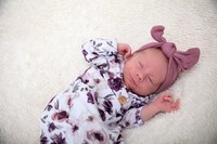 Twins Newborn Portraits_0013
