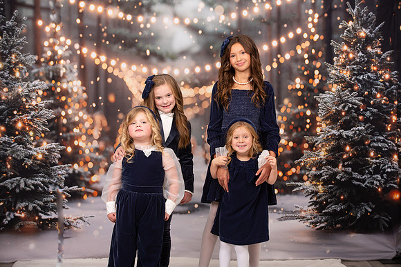 Family Holiday Portraits_0189