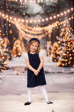 Family Holiday Portraits_0034