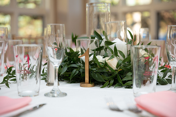 Meloro Wedding_0246