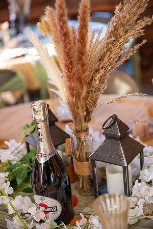Dolan Wedding_0354