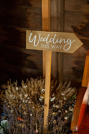 Dolan Wedding_0005