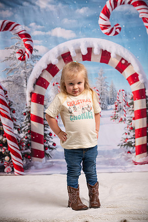 Family Holiday Portraits_0090