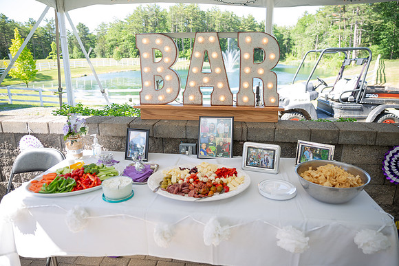 Nolan-Pulver Wedding Portraits_0022