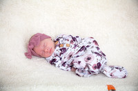 Twins Newborn Portraits_0017