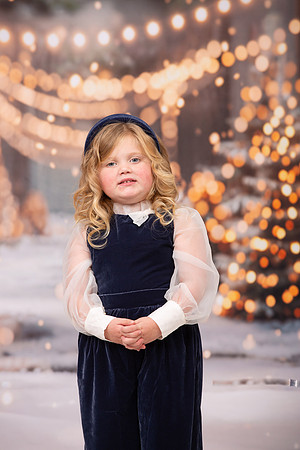 Family Holiday Portraits_0140