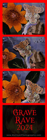 Photo Booth Prints_0009