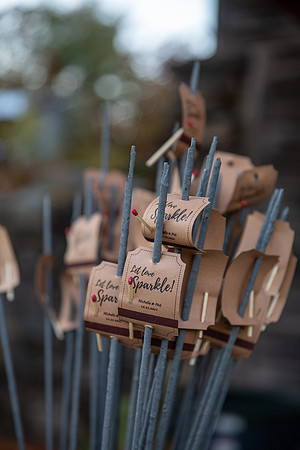 Dolan Wedding_0388