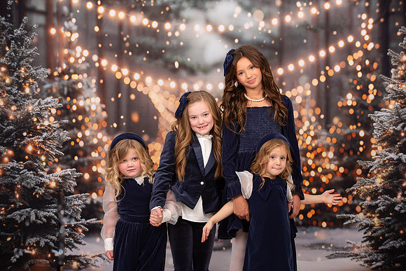 Family Holiday Portraits_0184