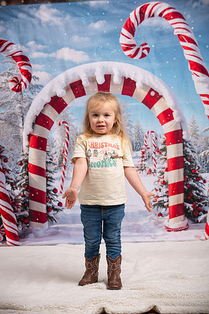 Family Holiday Portraits_0088