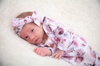 Twins Newborn Portraits_0005