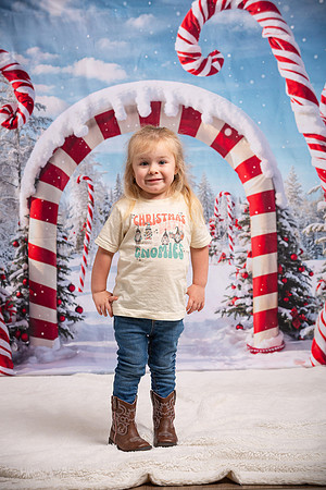Family Holiday Portraits_0093