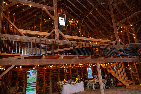 Dolan Wedding_0391