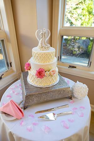 Meloro Wedding_0282