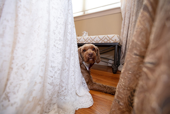 Sweet Wedding_0158