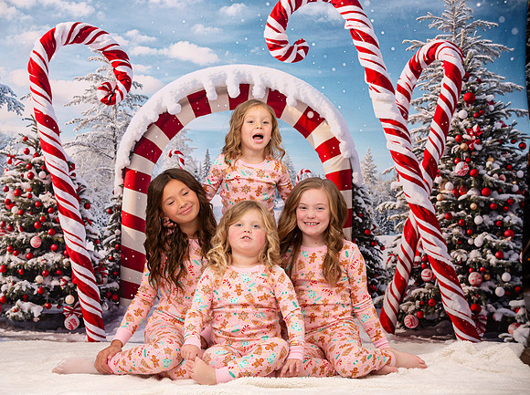 Family Holiday Portraits_0088