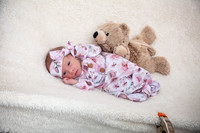 Twins Newborn Portraits_0007