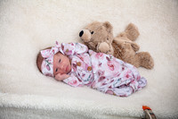 Twins Newborn Portraits_0006