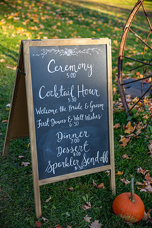 Dolan Wedding_0002