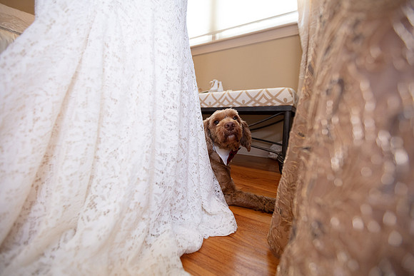 Sweet Wedding_0157