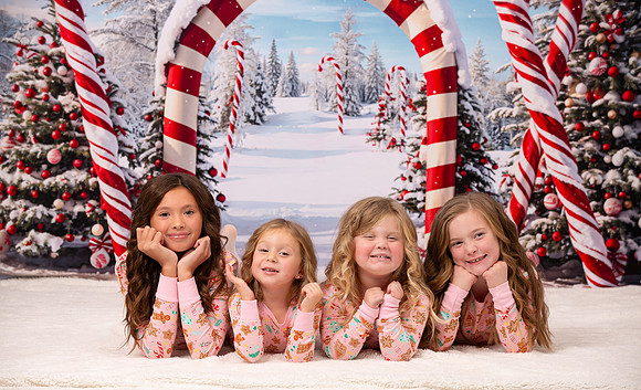 Family Holiday Portraits_0081
