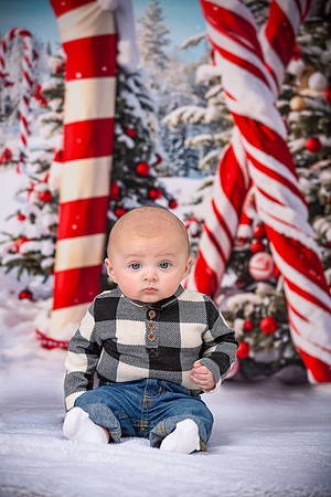Family Holiday Portraits_0006