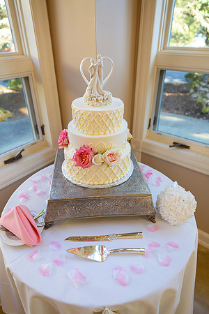 Meloro Wedding_0284