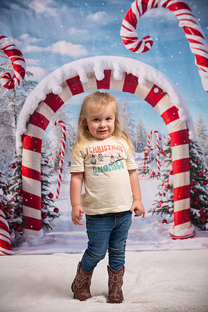 Family Holiday Portraits_0085
