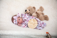 Twins Newborn Portraits_0008