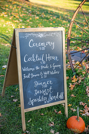 Dolan Wedding_0003
